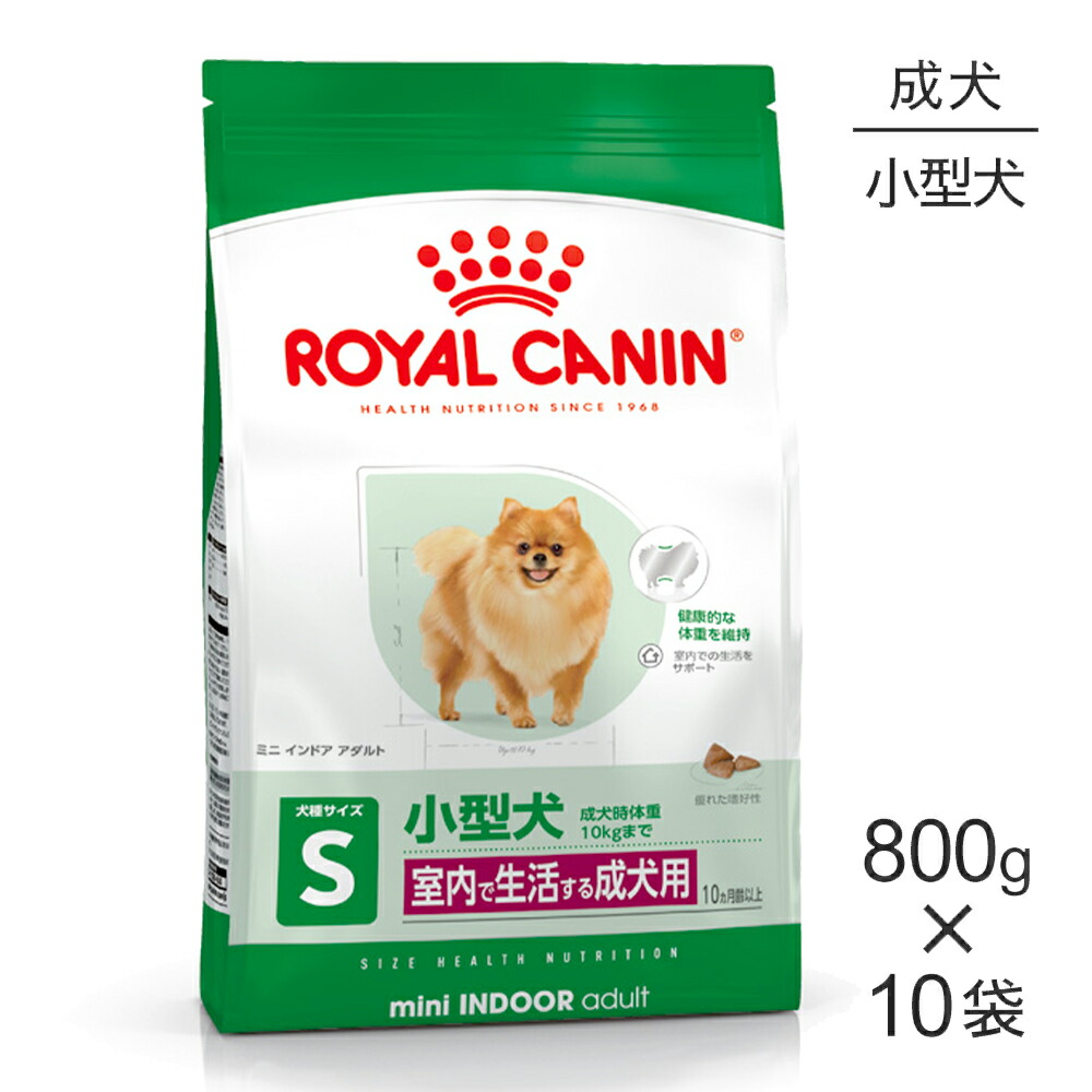ねこお父ちゃんのデンタルケアに！グリニーズでおいしく世話をする