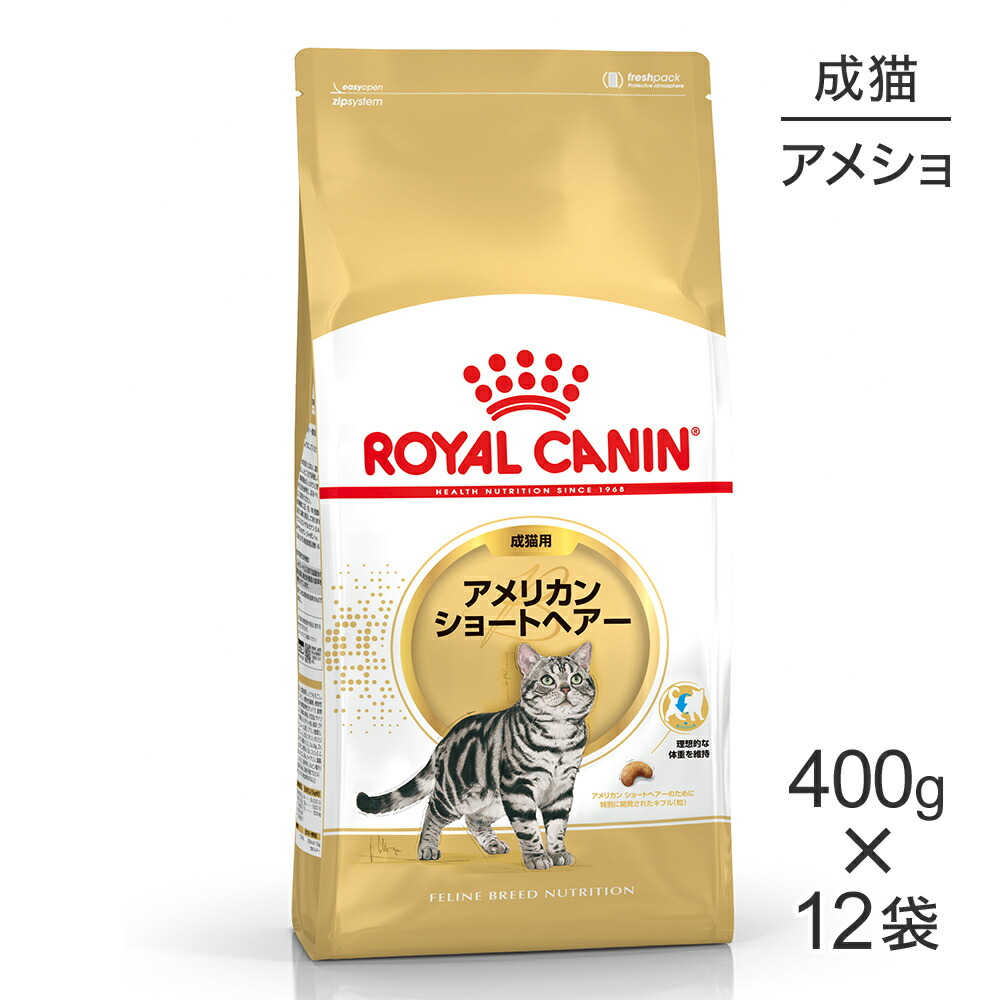 100 本物 ロイヤルカナン キャット アメリカンショートヘアー 正規品 猫 猫用品 100 本物 ロイヤルカナン キャット アメリカンショートヘアー 正規品 猫 猫用品