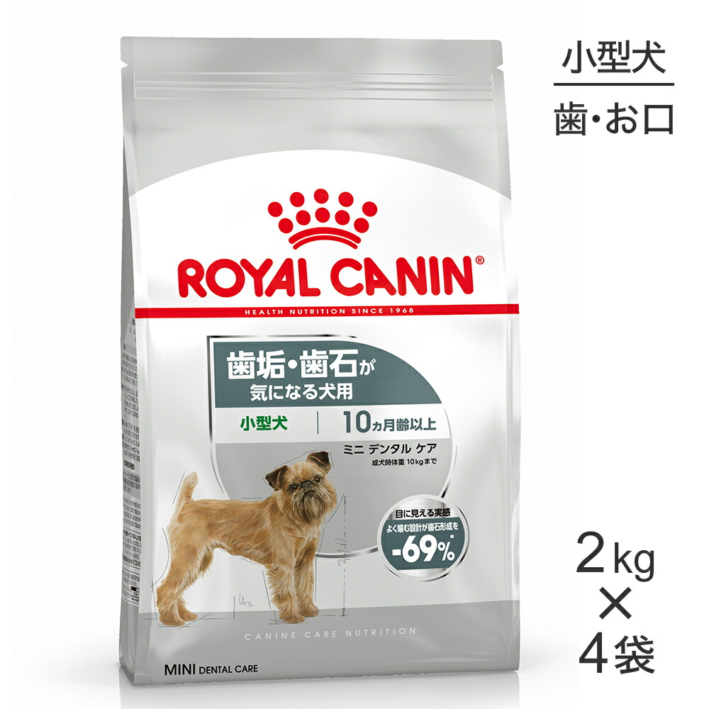 ねこお父ちゃんのデンタルケアに！グリニーズでおいしく世話をする