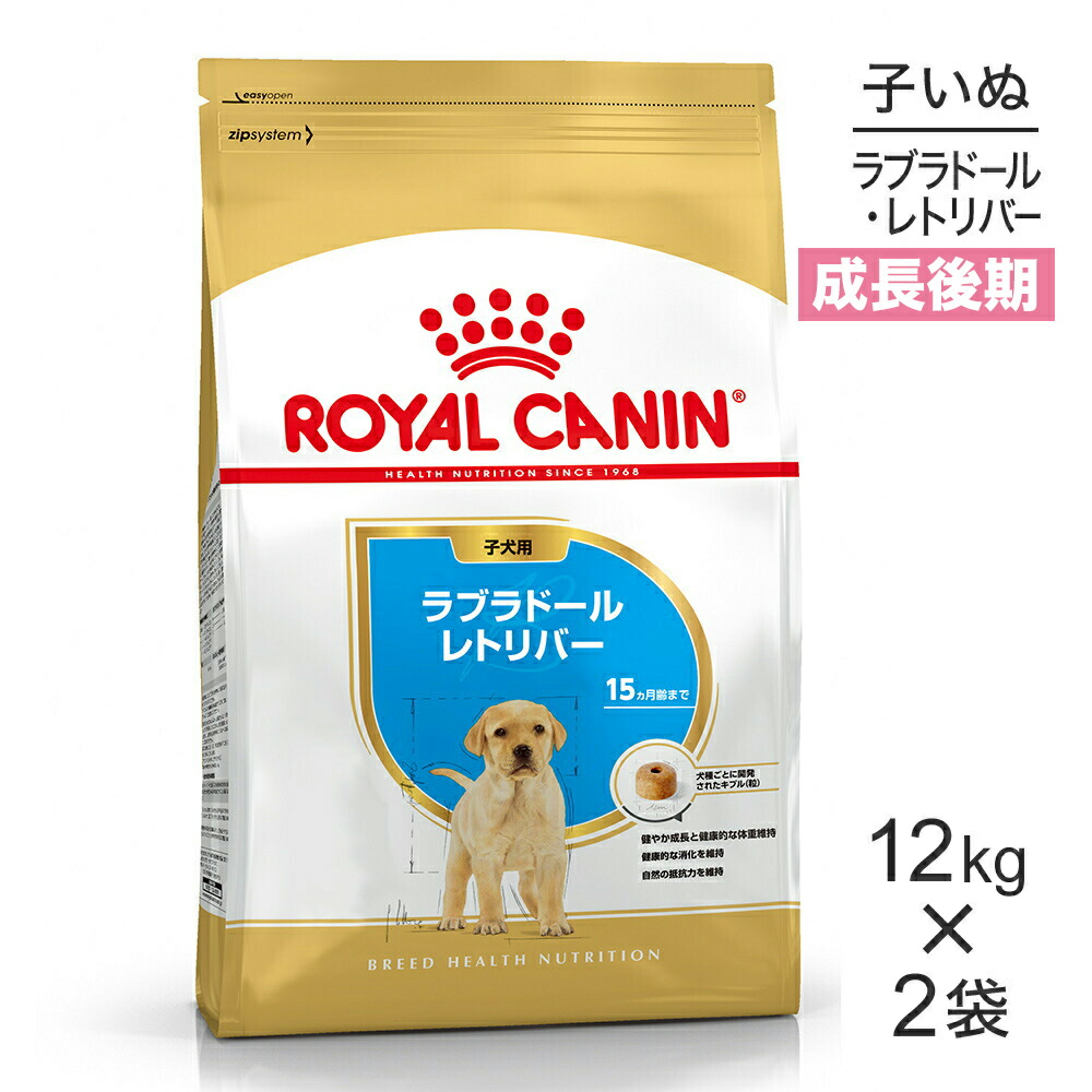 ねこお父ちゃんのデンタルケアに！グリニーズでおいしく世話をする
