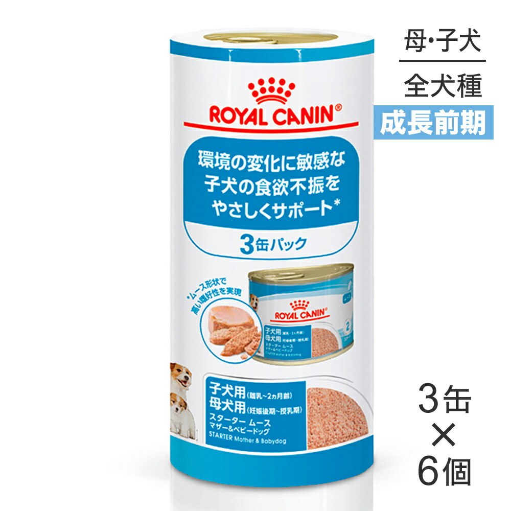 ねこお父ちゃんのデンタルケアに！グリニーズでおいしく世話をする