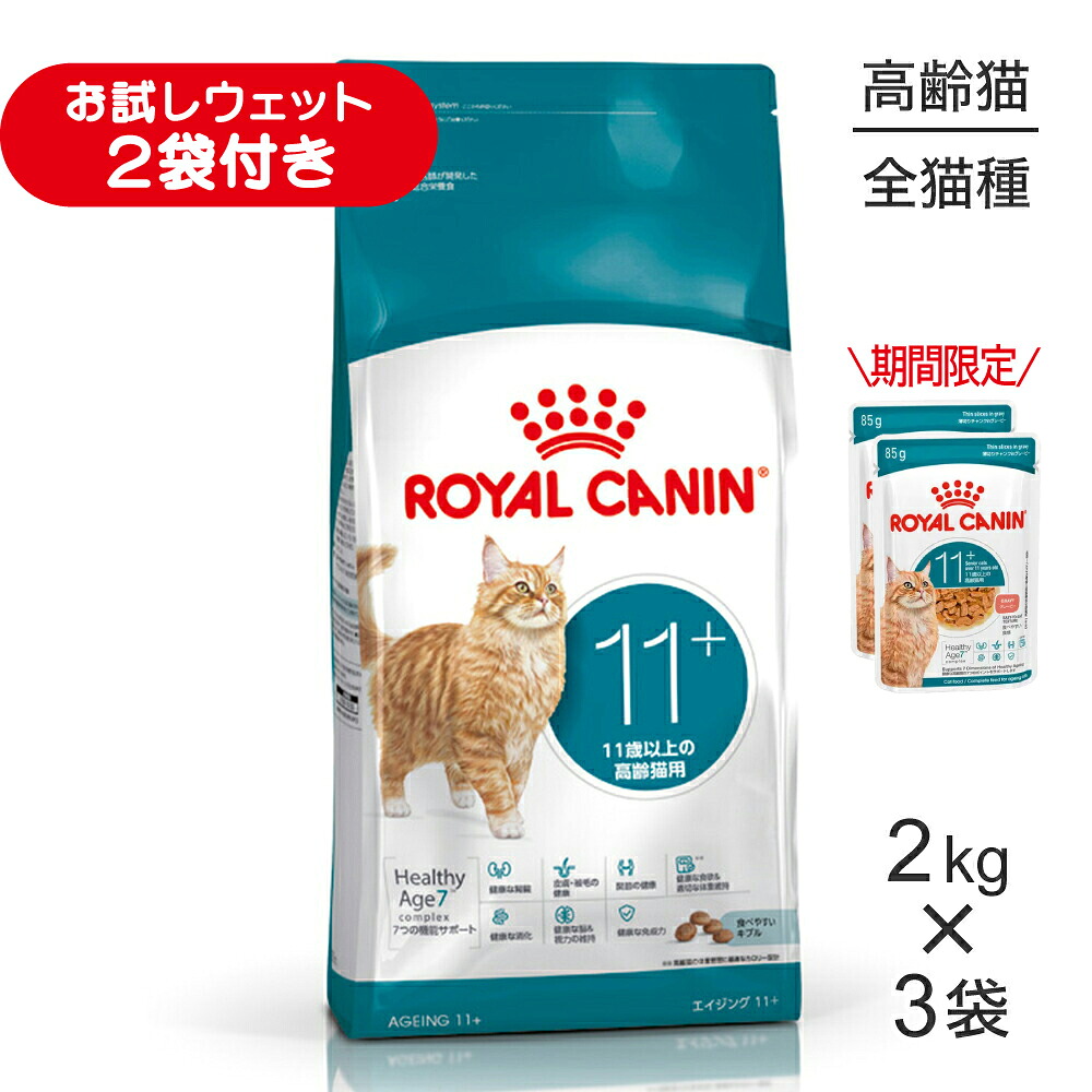 【最大400円ｵﾌｸｰﾎﾟﾝ■要事前取得】【2kg×3袋】ロイヤルカナン FHN エイジング 11+ 高齢猫用 11歳以上 (猫・キャット)[正規品]
