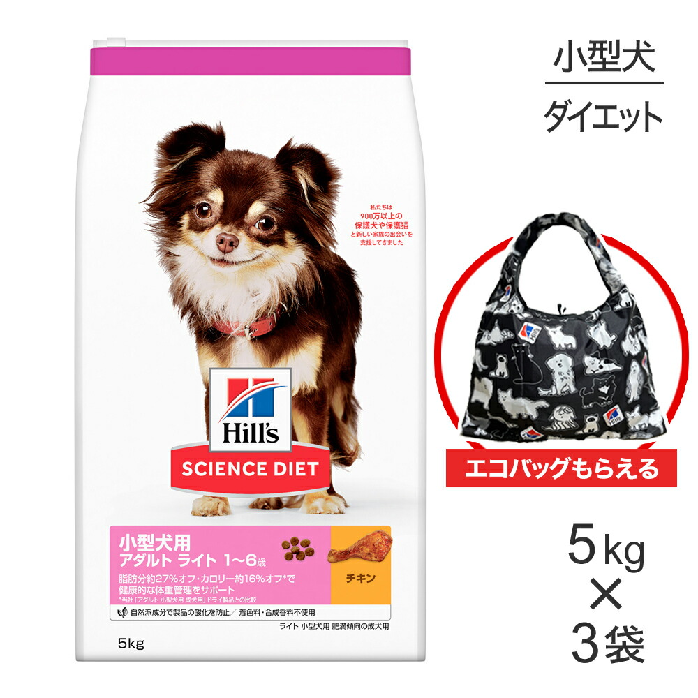 ねこお父ちゃんのデンタルケアに！グリニーズでおいしく世話をする