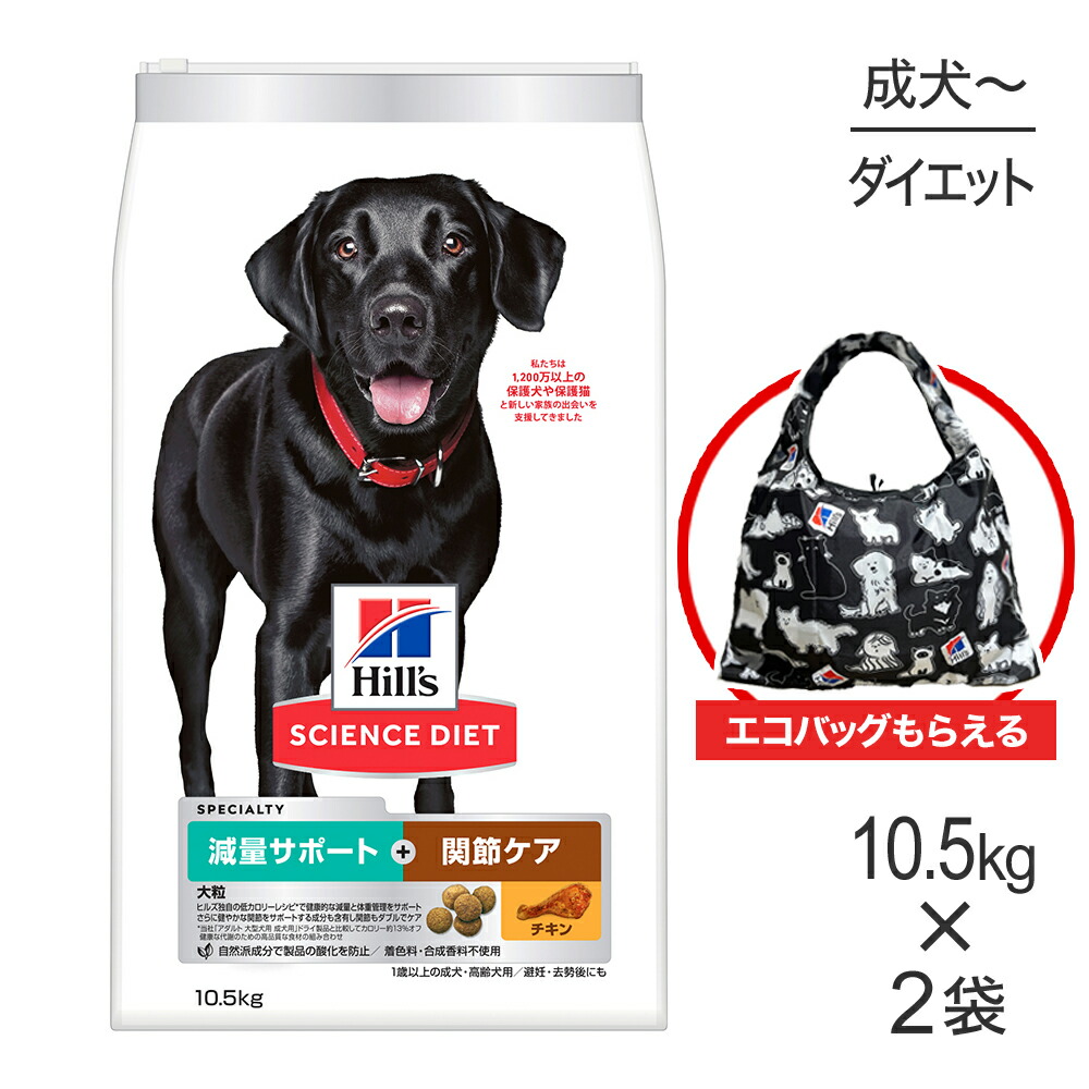 ねこお父ちゃんのデンタルケアに！グリニーズでおいしく世話をする