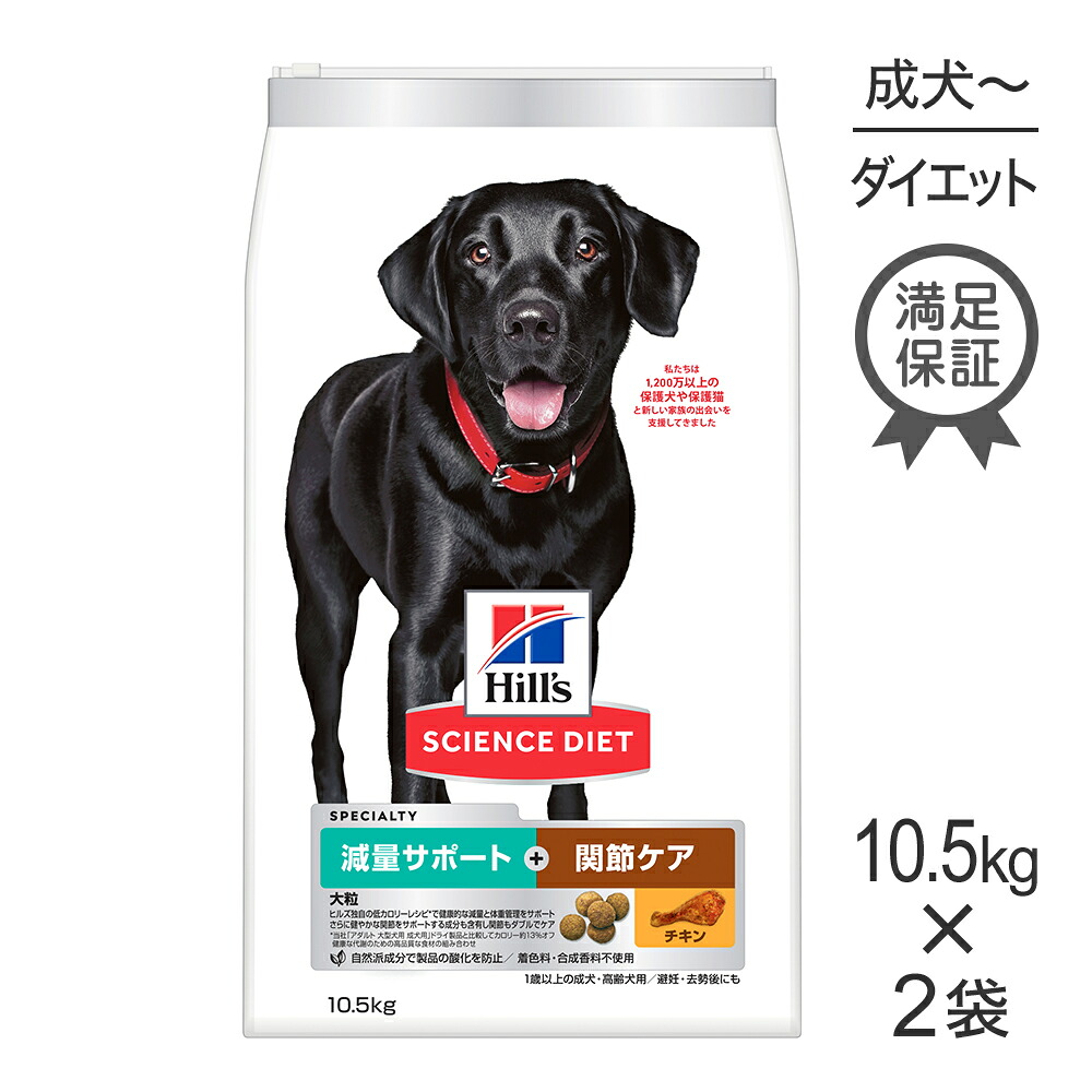 ねこお父ちゃんのデンタルケアに！グリニーズでおいしく世話をする