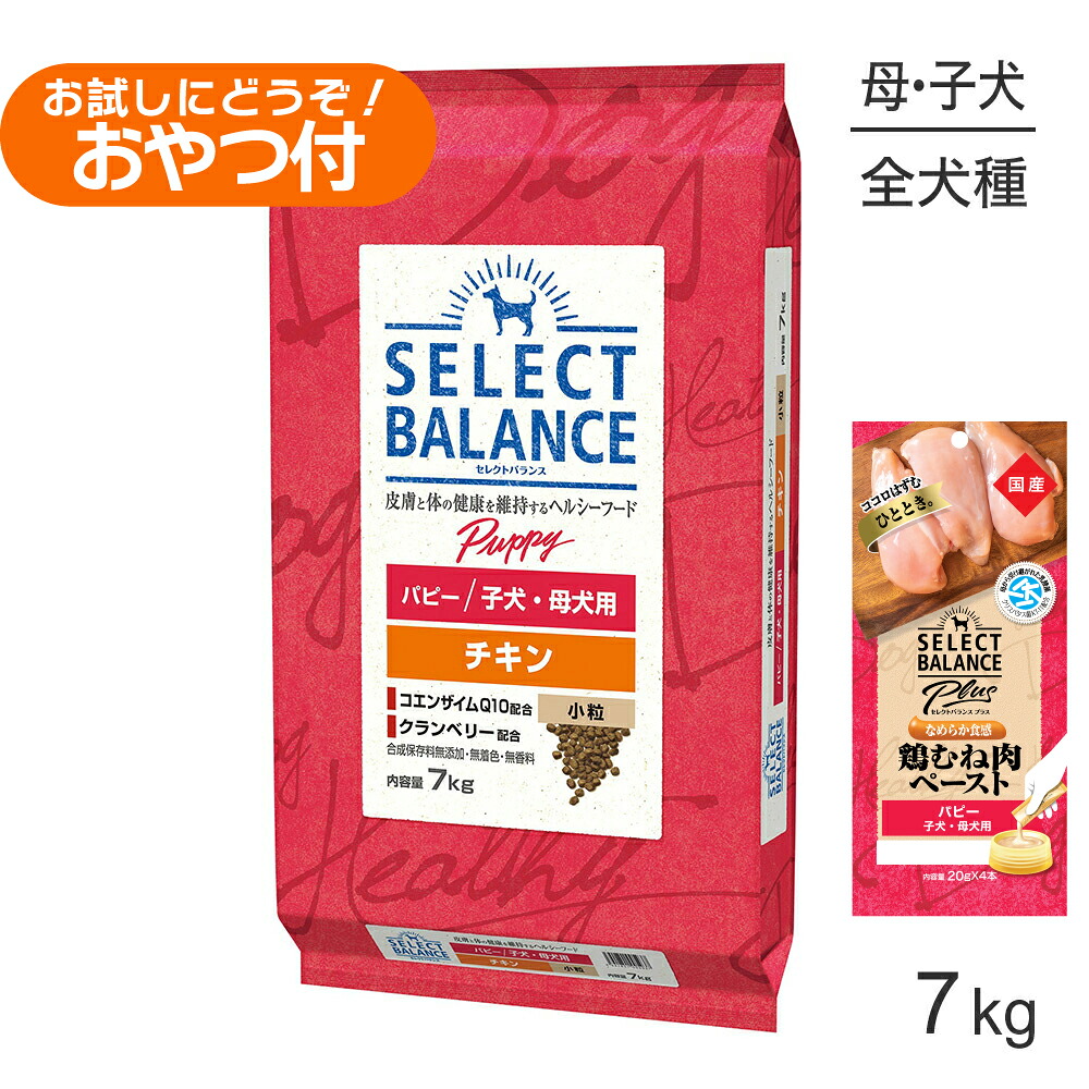 ■最大ポイント10倍【7/19~要エントリー】セレクトバランス パピー チキン 小粒 子犬・母犬用 7kg+子犬・母犬用 鶏むね肉ペースト (20g×4本)×2袋(犬・ドッグ)|スイートペット