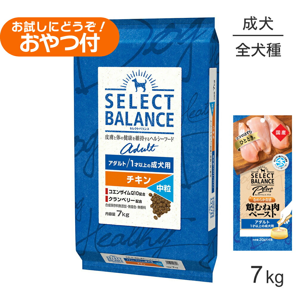 【最大400円ｵﾌｸｰﾎﾟﾝ■要事前取得】セレクトバランス アダルト チキン 中粒 1才以上の成犬用 7kg+成犬用 鶏むね肉ペースト (20g×4本)×2袋(犬・ドッグ)