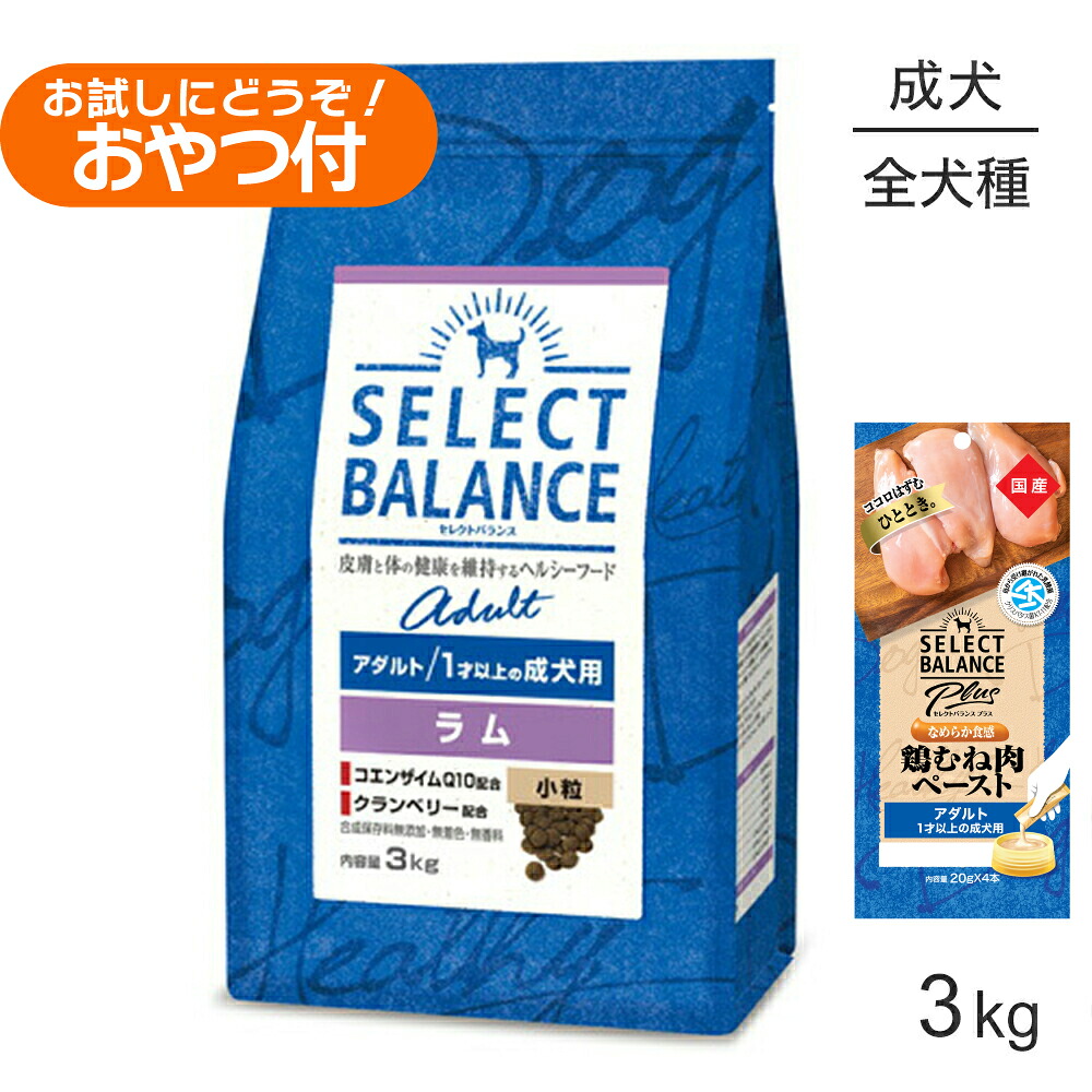 【最大400円ｵﾌｸｰﾎﾟﾝ■要事前取得】セレクトバランス アダルト ラム 小粒 1才以上の成犬用 3kg+成犬用 鶏むね肉ペースト 20g×4本(犬・ドッグ)