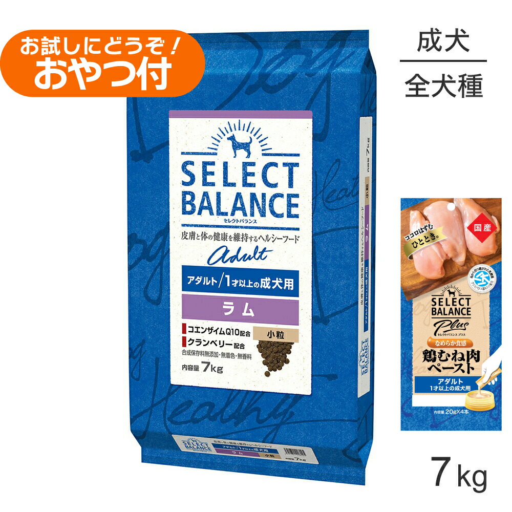 キミおもい ズボン下お襁褓 能動的お召しもの ペット・ペットグッズ-犬用品