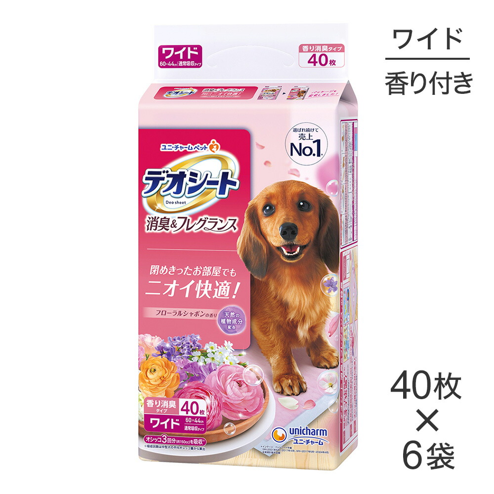 ねこお父ちゃんのデンタルケアに！グリニーズでおいしく世話をする