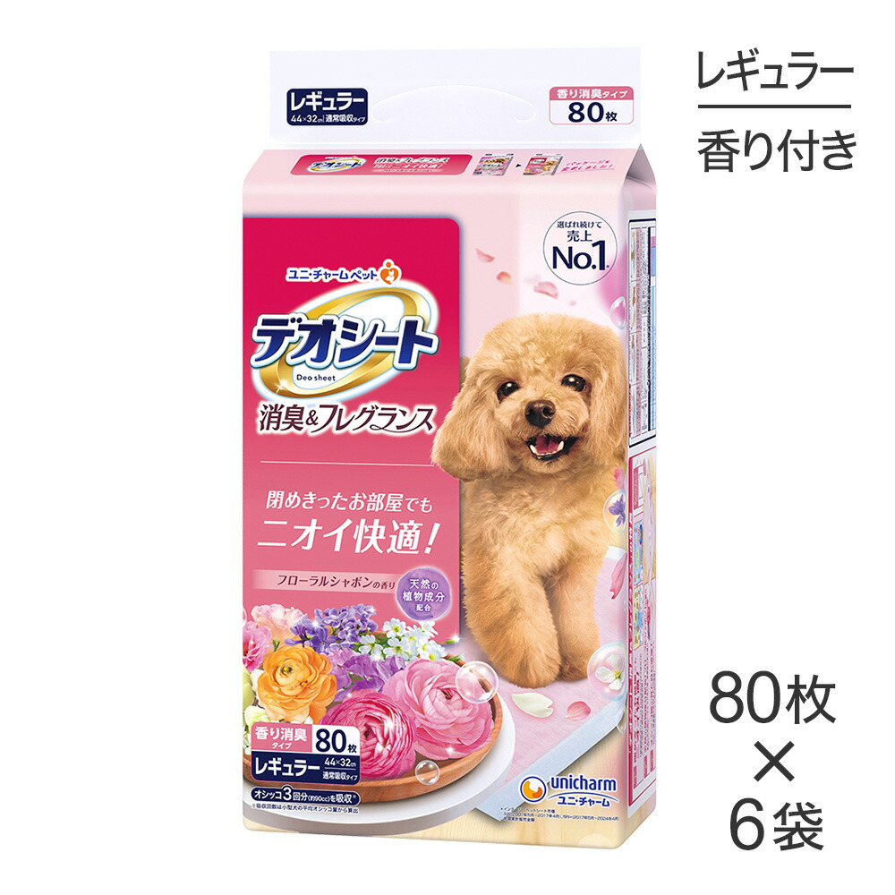 ねこお父ちゃんのデンタルケアに！グリニーズでおいしく世話をする