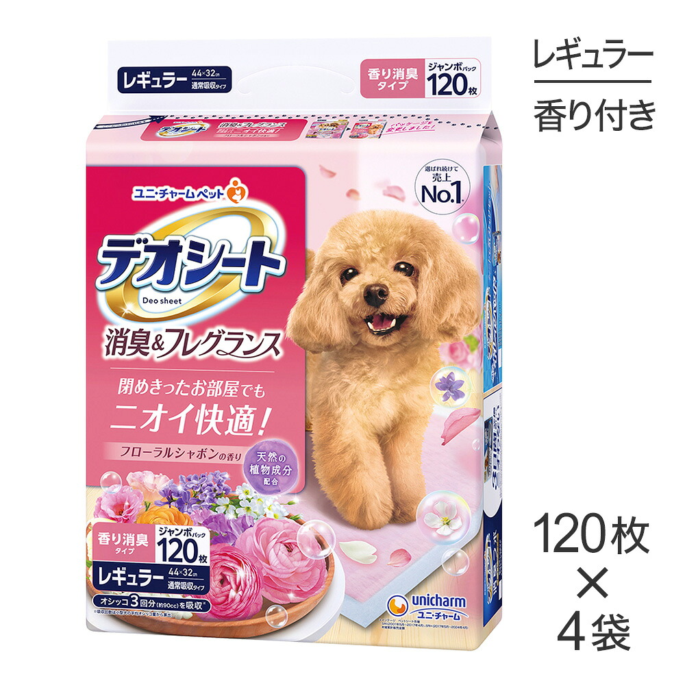 ねこお父ちゃんのデンタルケアに！グリニーズでおいしく世話をする