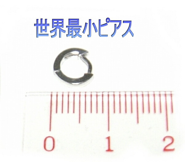 【ランキング1位】【ループピアス】【ペア価格】世界最小フープ！Newデザイナーズシンプルピアス【K18,小さい,プチ,フープピアス,中折れ式,両耳用,ボディ】【デイリー,男女兼用アクセサリー-その他(7/1)】