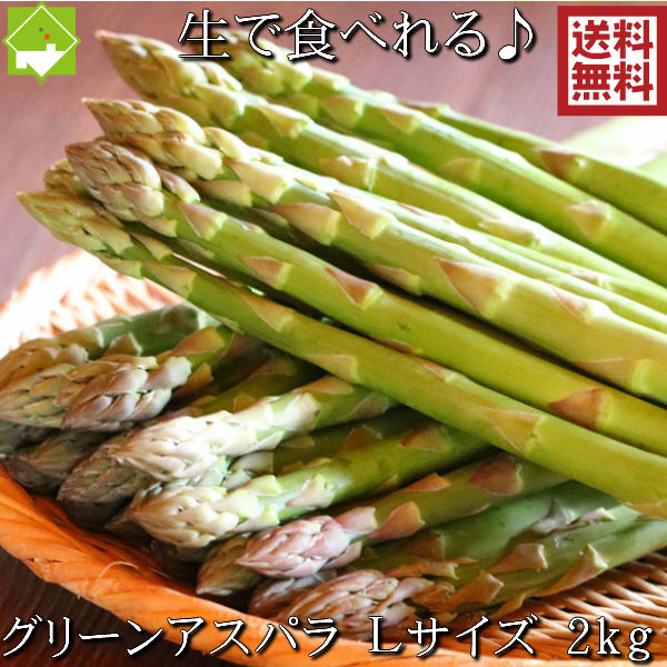 日本全国送料無料 楽天市場 アスパラガス 北海道 富良野産 生で食べれる グリーンアスパラ 2kg Lサイズ 送料無料 ハウス栽培 別途送料が発生する地域あり 富良野スイートベジタブル2号店 正規激安 Lexusoman Com 日本全国送料無料 楽天市場 アスパラガス 北海道 富良野産 生で食べれる グリーンアスパラ 2kg Lサイズ 送料無料 ハウス栽培 別途送料が発生する地域あり 富良野スイートベジタブル2号店 正規激安 Lexusoman Com