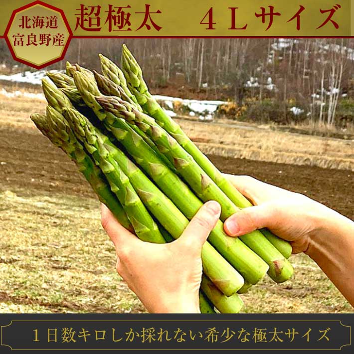 数量限定 特売 アスパラガス 北海道 富良野産 生で食べれる グリーンアスパラ 4lサイズ 2kg ハウス栽培 送料無料 初回限定 Dmmcomex Com Br