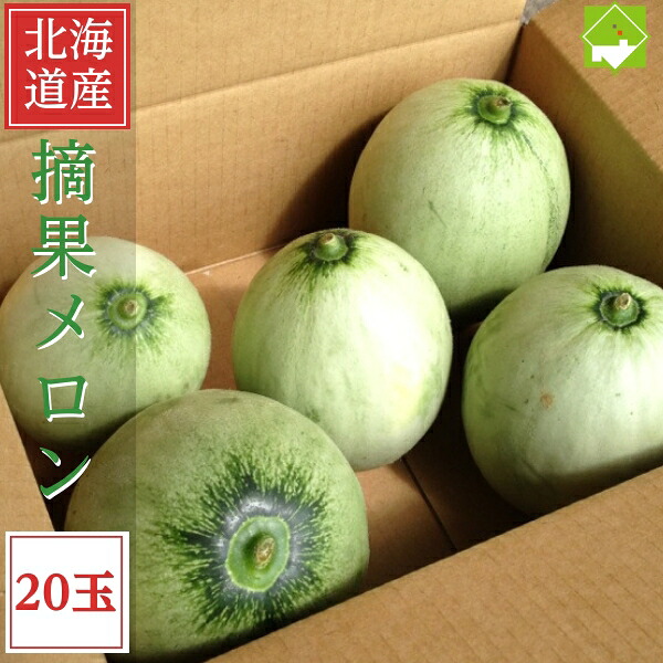 2026年ご予約販売 北海道 富良野産　摘果 メロン（テッカメロン）20玉