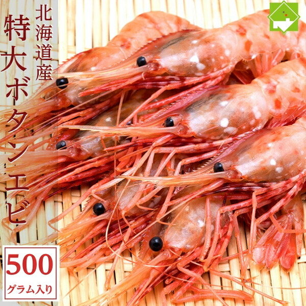 北海道産 特大 ボタンエビ 500g ぼたんえび 牡丹海老 海老 エビ えび 海鮮 ボタン海老 美味しい 冷凍エビ 冷凍えび 贈答用 グルメ 贈り物 送料無料 実用的 ギフト プレゼント 別途送料が発生する地域あり