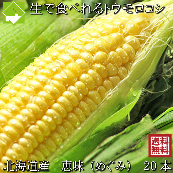 とうもろこし 送料無料 低農薬栽培 北海道産 生で食べれる 恵味（めぐみ）2Lサイズ  20本 別途送料が発生する地域あり 日時指定不可