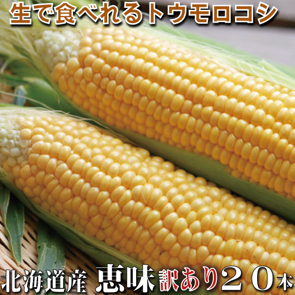 とうもろこし 送料無料 低農薬栽培 北海道ふらの産 生で食べれる 恵味（めぐみ）訳あり MからＬサイズ 20本 別途送料が発生する地域あり 日時指定不可