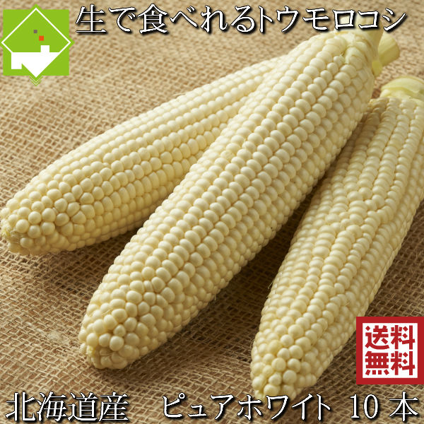 とうもろこし 送料無料 低農薬栽培 北海道産 生で食べれる 白いトウモロコシ ピュアホワイト Mから2Ｌサイズ混合 10本 別途送料が発生する地域あり 日時指定不可　8月発送開始