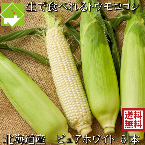 とうもろこし 送料無料 低農薬栽培 北海道産 生で食べれる 白いトウモロコシ ピュアホワイト 5本 別途送料が発生する地域あり 日時指定不可　7月下旬発送開始