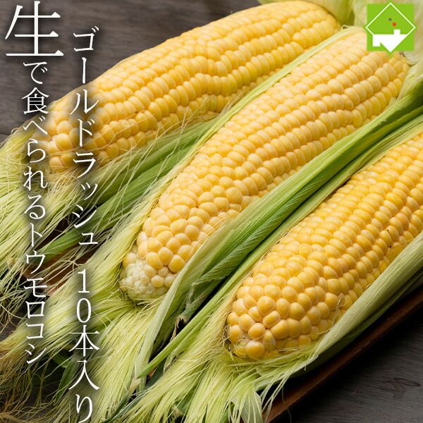 ハウス栽培 とうもろこし 送料無料 低農薬栽培 北海道産 生で食べれる ゴールドラッシュ 2Lサイズ 10本 7月下旬発送開始 別途送料が発生する地域あり 日時指定不可