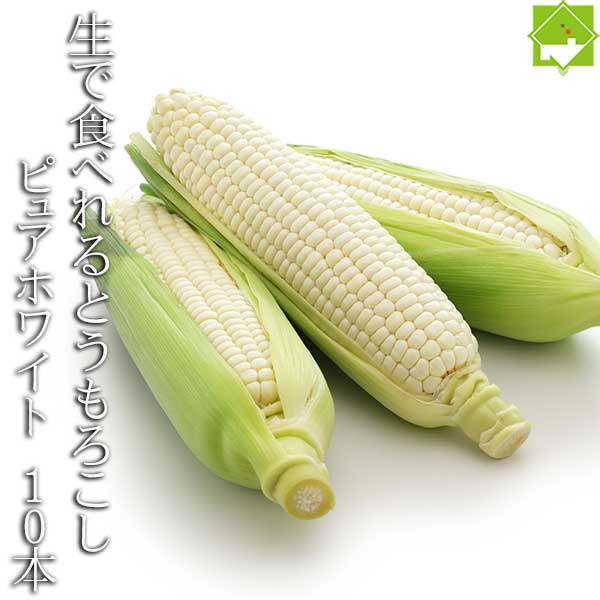 ハウス栽培 とうもろこし 送料無料 低農薬栽培 北海道産 生で食べれる 白いトウモロコシ ピュアホワイト 10本  別途送料が発生する地域あり 日時指定不可　7月上旬発送開始