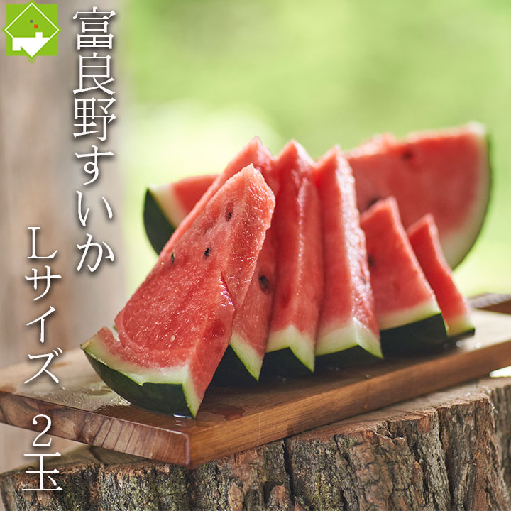 2025年ご予約販売 すいか 北海道 富良野 スイカ 2玉 5kg前後 送料無料 別途送料が発生する地域あり