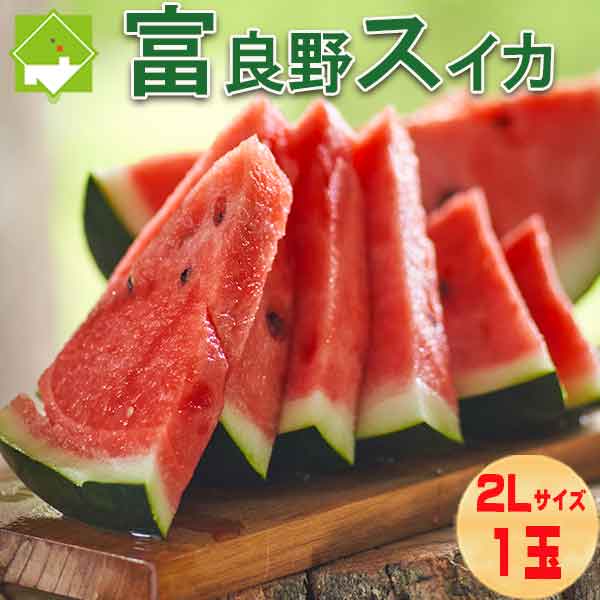 2025年ご予約販売 すいか 北海道 富良野産 へそスイカ 2Lサイズ 1玉 6kg前後 送料無料 別途送料が発生する地域あり