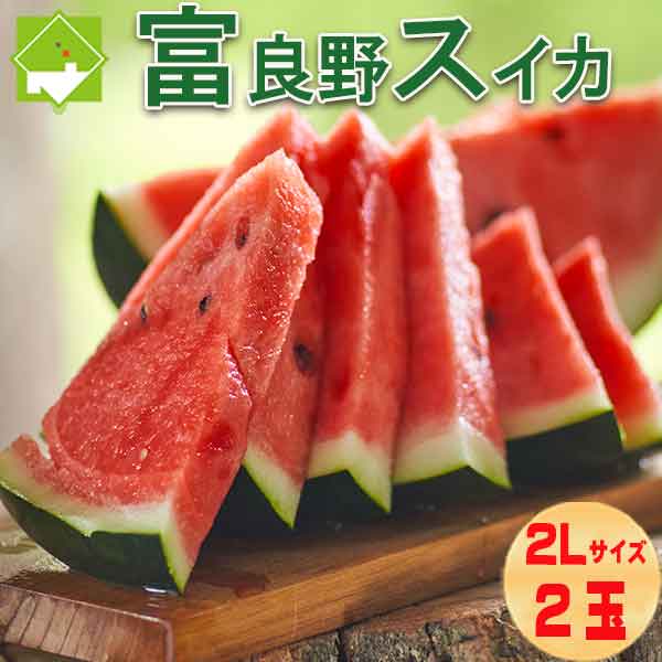 2025年ご予約販売 すいか 北海道 富良野産 へそスイカ 2L 2玉 送料無料 別途送料が発生する地域あり