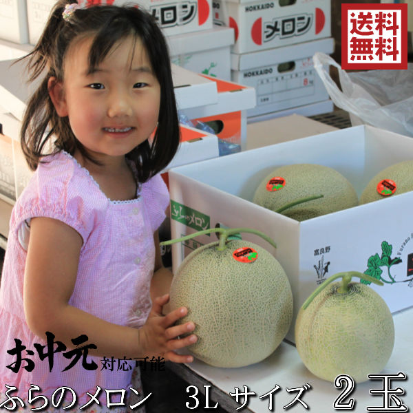 2025年ご予約販売 ふらのメロン 北海道富良野産　赤肉メロン 3Lサイズ 2kg以上 2玉 送料無料 お中元ギフト 日時指定不可 別途送料が発生する地域あり ご予約販売