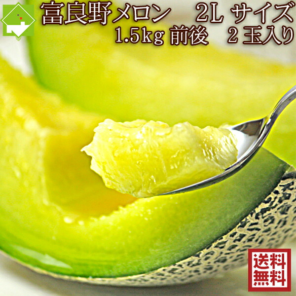 2025年ご予約販売 ふらのメロン 北海道富良野産　青肉メロン ２Lサイズ 2玉 送料無料 お中元ギフト 日時指定不可 ご予約販売