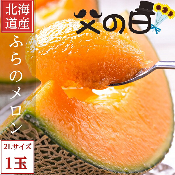 2026年ご予約販売 父の日ギフト ふらのメロン 北海道富良野産　赤肉メロン ２Lサイズ 1玉 送料無料 お中元ギフト