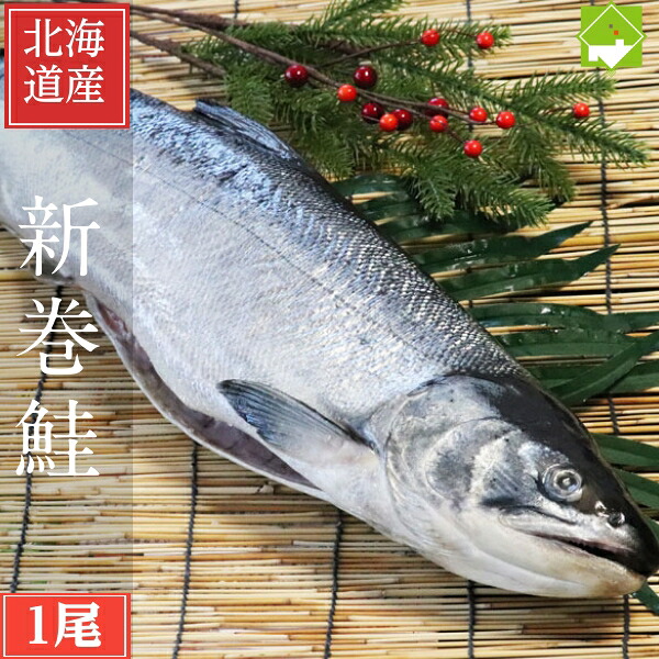 鮭 さけ 北海道産 新巻鮭 1本まるごと 1.6kg前後 送料無料 お歳暮 ギフト 別途送料が発生する地域あり　スーパーSALE