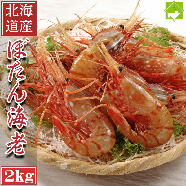 お刺身用 北海道産 特大 ボタンエビ 2kg ぼたんえび 牡丹海老 海老 エビ えび 海鮮 ボタン海老 美味しい 冷凍エビ 冷凍えび 贈答用 グルメ 贈り物 送料無料 実用的 ギフト プレゼント 別途送料が発生する地域あり