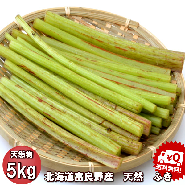 超特価激安 楽天市場 山菜 ふき 北海道産 天然物 フキ 5kg 日時指定不可 富良野スイートベジタブル２号店 新発売の Www Lexusoman Com