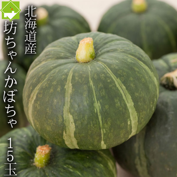 かぼちゃ 送料無料 北海道 富良野産 坊ちゃんかぼちゃ 15玉｜富良野スイートベジタブル２号店 6,240円