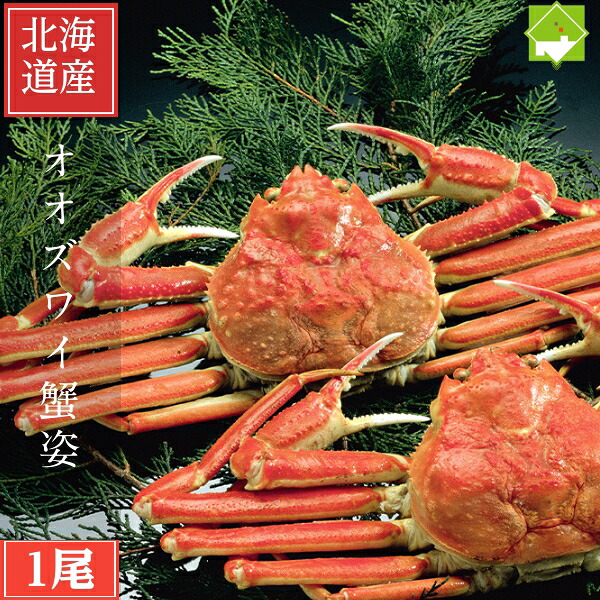 北海道産 ボイル オオズワイ姿 1尾 約500g 冷凍 おおずわいがに かに カニ 蟹 かに鍋 かにしゃぶ おせち 単品おせち ギフト