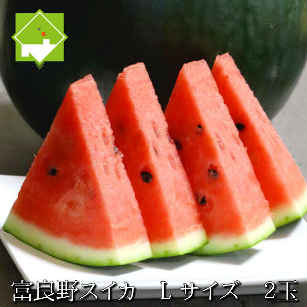 すいか 北海道富良野産　有機肥料でとっても甘く育ったスイカ　 １玉５ｋｇ以上×２玉入り　送料無料