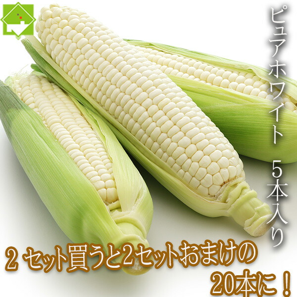 楽天市場】生で食べれる 白いとうもろこし 北海道富良野産 楽天市場】生で食べれる 白いとうもろこし 北海道富良野産