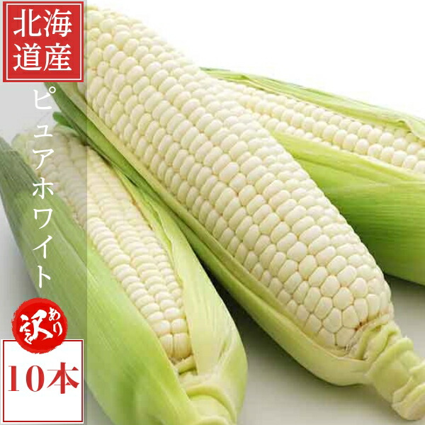 生で食べられるスイートコーン 楽天市場】【7月発送】生で食べられる白いトウモロコシ 北海道