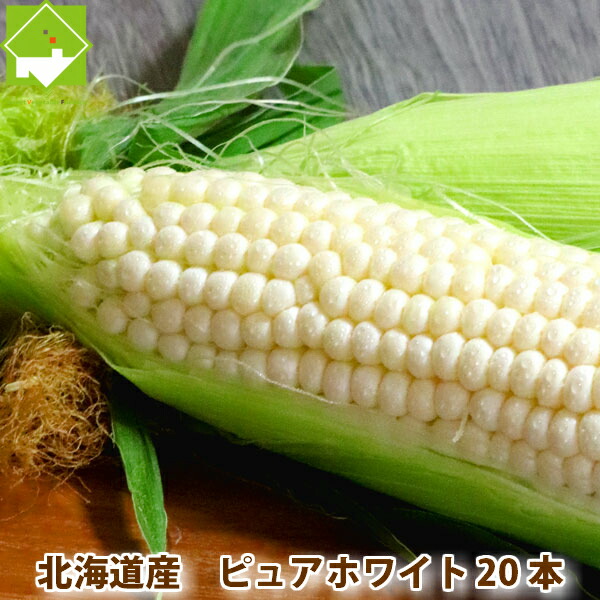 とうもろこし 北海道富良野産　ピュアホワイト　20本入