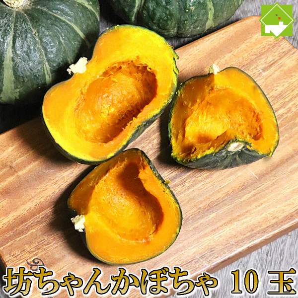 かぼちゃ 特価 68％以上節約 北海道富良野産 10玉 坊ちゃんかぼちゃ