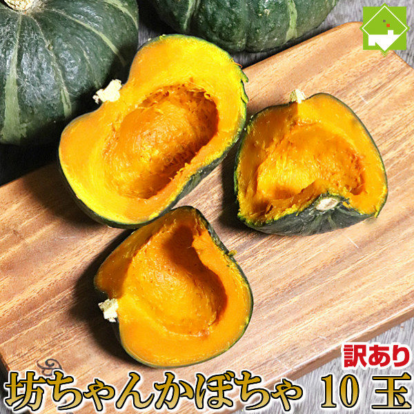 かぼちゃ パンプキン 北海道富良野産　訳あり　坊ちゃんかぼちゃ（ぼっちゃんカボチャ）　10玉