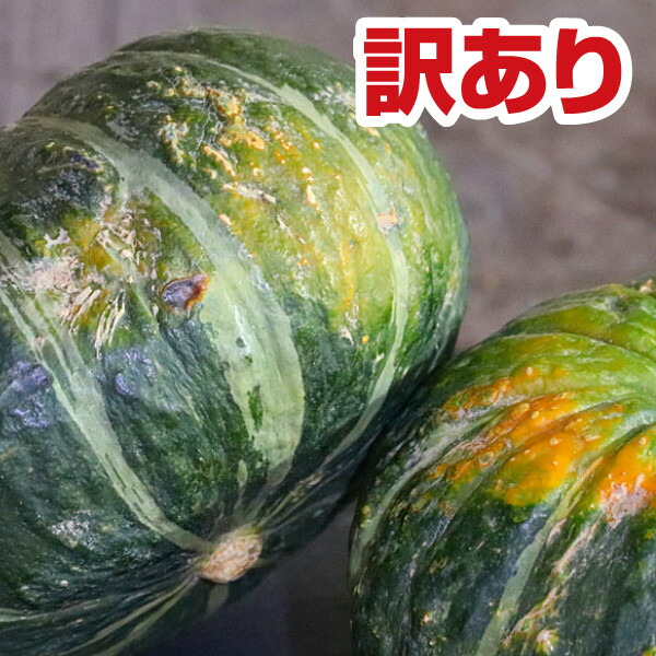 市場 かぼちゃ 北海道富良野産:スイートベジタブルファクトリー 5kg 訳あり 国産 ダークホース 市場 かぼちゃ 北海道富良野産:スイートベジタブルファクトリー 5kg 訳あり 国産 ダークホース