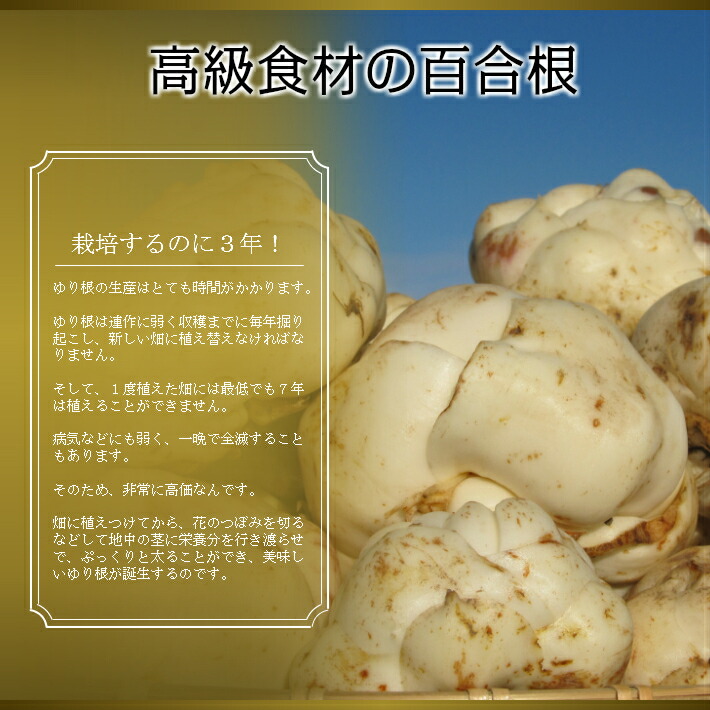 ゆり根北海道富良野産訳あり百合根2kg