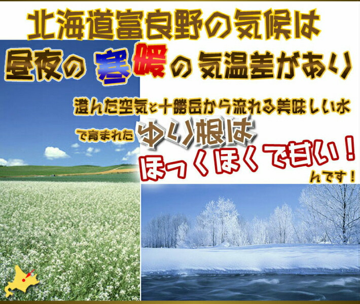 ゆり根北海道富良野産訳あり百合根2kg