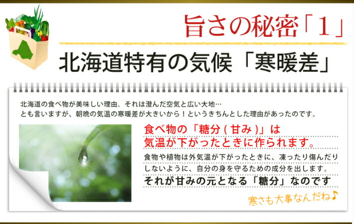 ゆり根北海道富良野産訳あり百合根2kg
