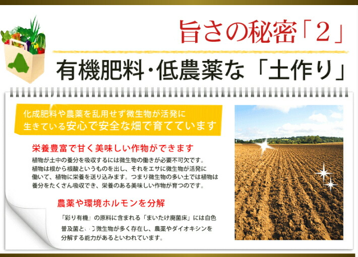 ゆり根北海道富良野産訳あり百合根2kg
