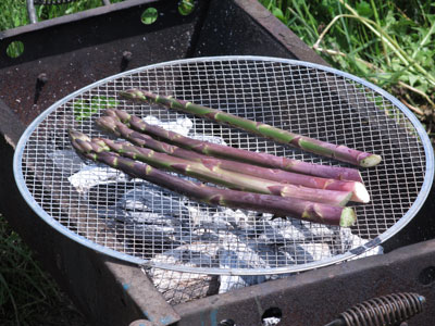 イルージョンのアスパラガス 北海道富良野生産 珍 ラベンダーアスパラ 紫アスパラガス 号込 貨物輸送無料 Cannes Encheres Com